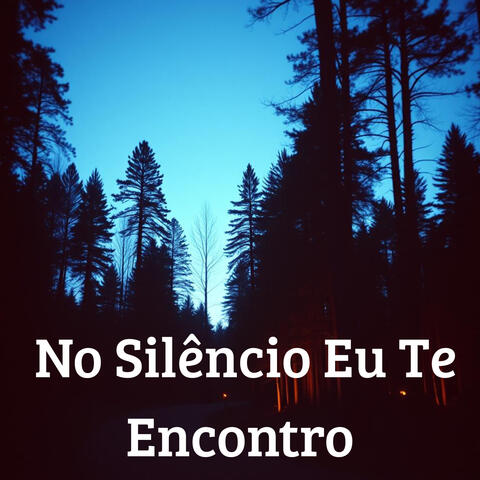 No Silêncio Eu Te Encontro