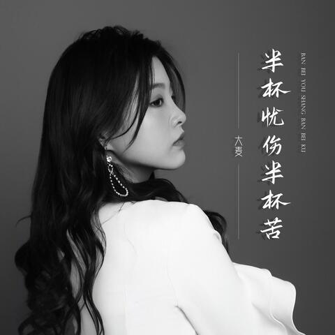 半杯忧伤半杯苦（无人与我立黄昏）