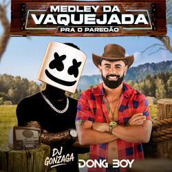 Medley da Vaquejada para o Paredão