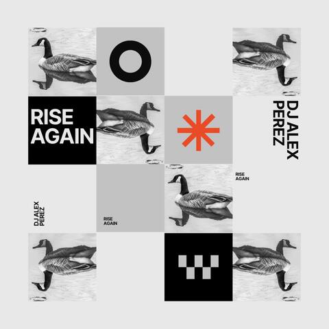 Rise Again