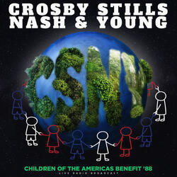 The Crow On The Cradle