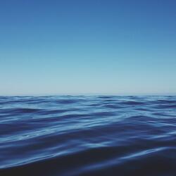 IT MUST HAVE BEEN LOVE