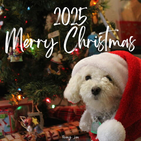 2025 Merry Christmas