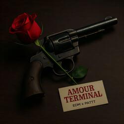 Amour Terminal