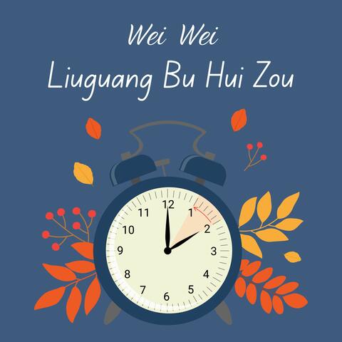 Liuguang Bu Hui Zou