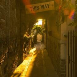 This Way