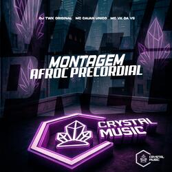 Montagem Afroc Precordial