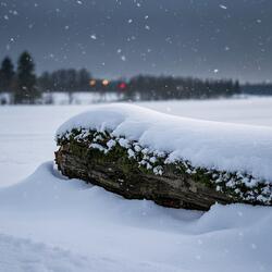Snow-Covered Fields, Quiet Yields