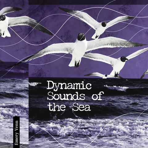 Dynamic Sounds of the Sea