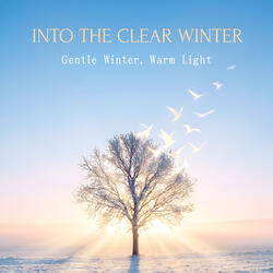 Into the Clear Winter – Gentle Winter, Warm Light