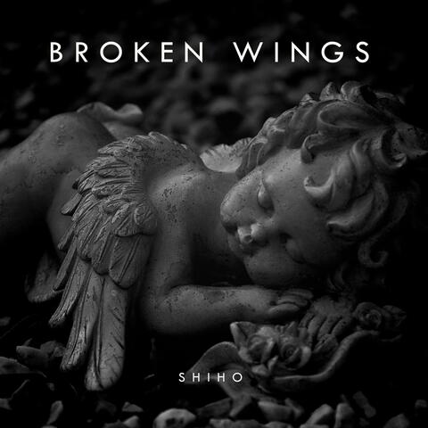 Broken Wings