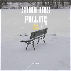 Snow was falling
