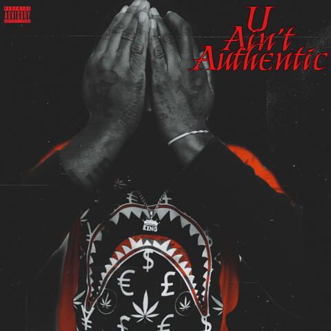 U Ain't Authentic