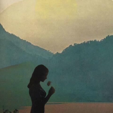 The Meditative Pause Ii