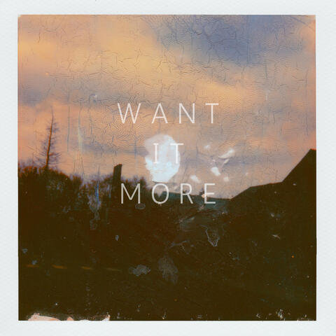 I WANT IT MORE