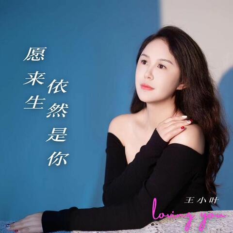愿来生依然是你（伤感版）