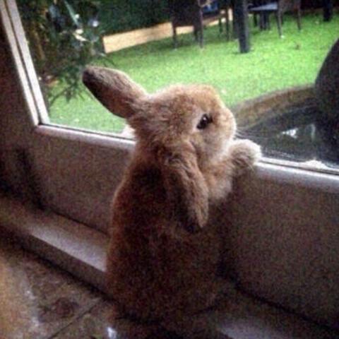 wish i could see u 2