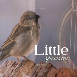 Little sparrow
