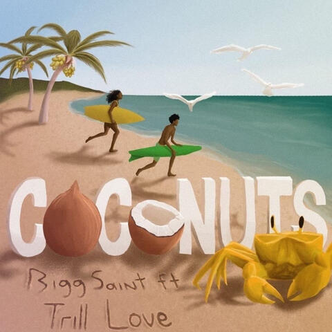 Coconuts