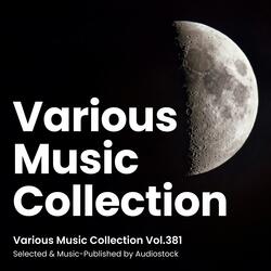 A Little Cat in My Room