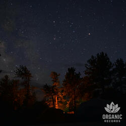 Dreaming Under Pines