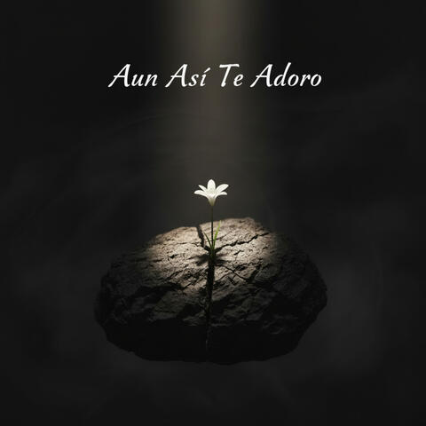Aun Así Te Adoro