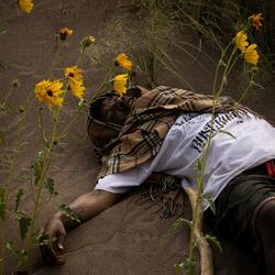 DREAMS OF MY NIGHTMARES