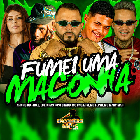 FUMEI UMA MACONHA