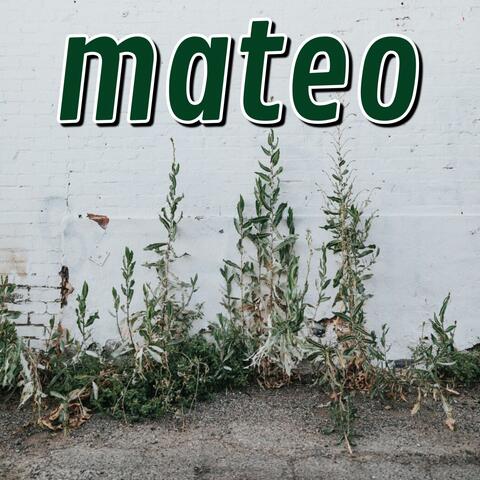 mateo
