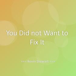 You Did not Want to Fix It