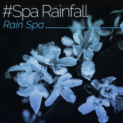 #Spa Rainfall