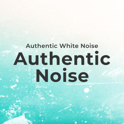 Authentic Noise