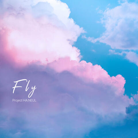 Fly