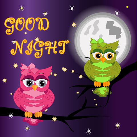 Good Night