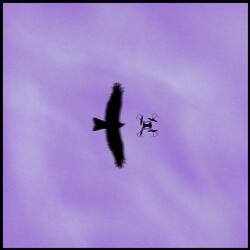 Ti accompagno in zona