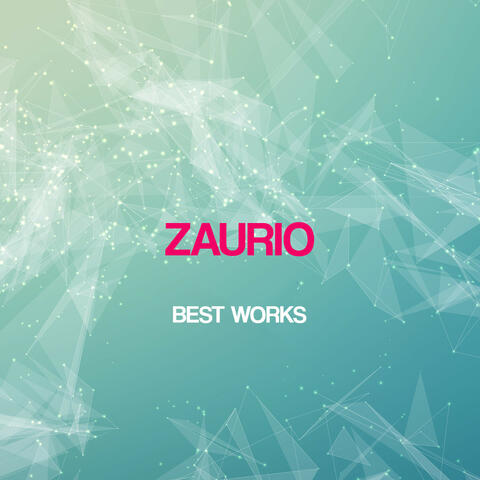 Zaurio Best Works