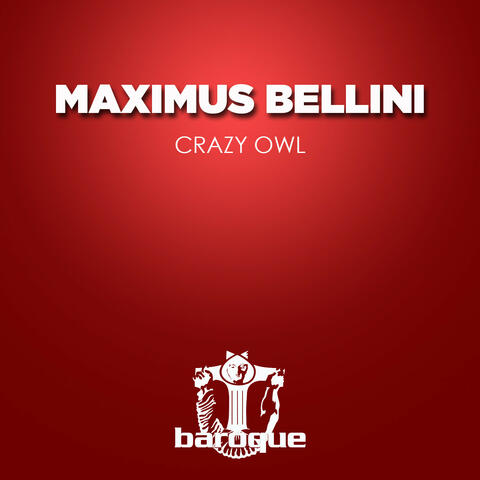 Crazy Owl
