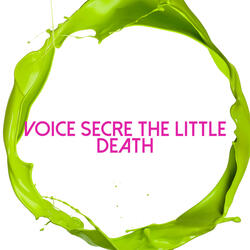 Voice Secret