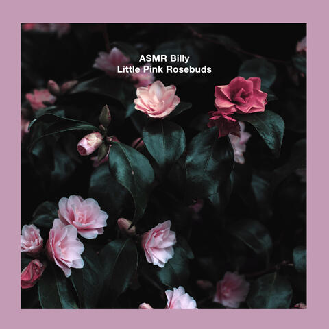 Little Pink Rosebuds
