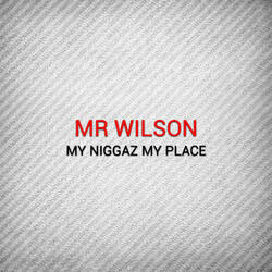 My Niggaz My Place