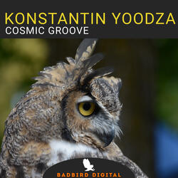 Cosmic Groove