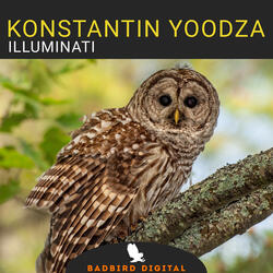 Illuminaty