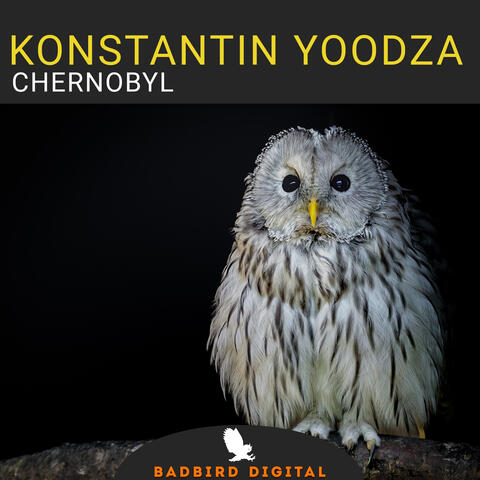 Chernobyl