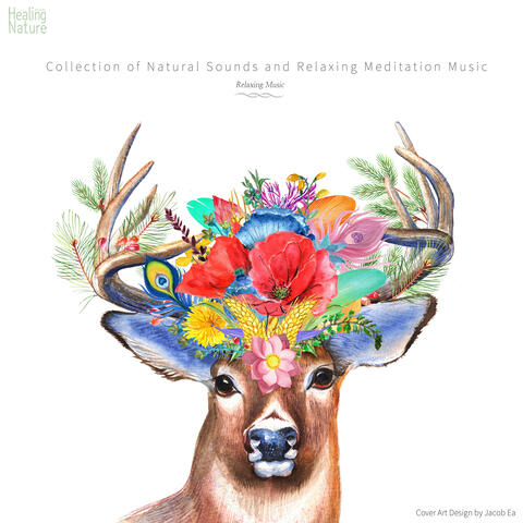자연의 소리와 편안한 명상 음악 모음 Collection Of Natural Sounds And Relaxing Meditation Music (Deep Sleep, White Noise, Ambient, Focus)