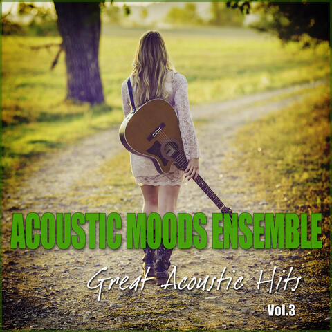 Great Acoustic Hits Vol. 3