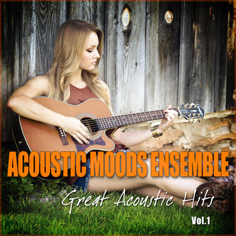 Great Acoustic Hits Vol. 1