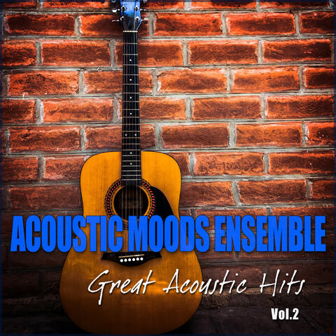 Great Acoustic Hits Vol. 2