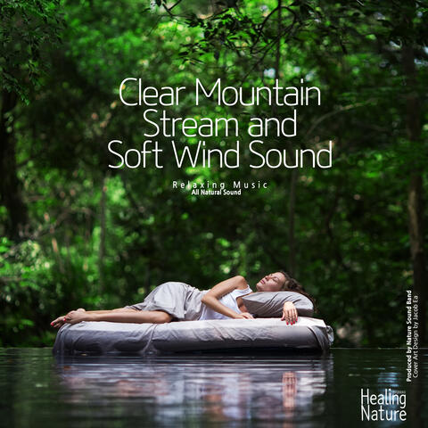 맑은 물이 흐르는 깊은 산 계곡에서 부는 바람 Clear Mountain Stream and Soft Wind Sound ( Nature Sound, White Noise, Stress Relief, Healing Therapy)