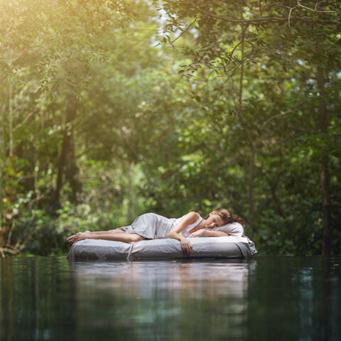 Zen Sleep Collection