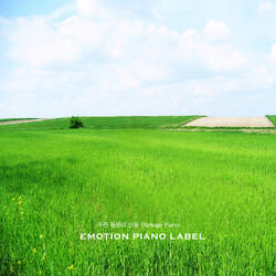 Spring Field